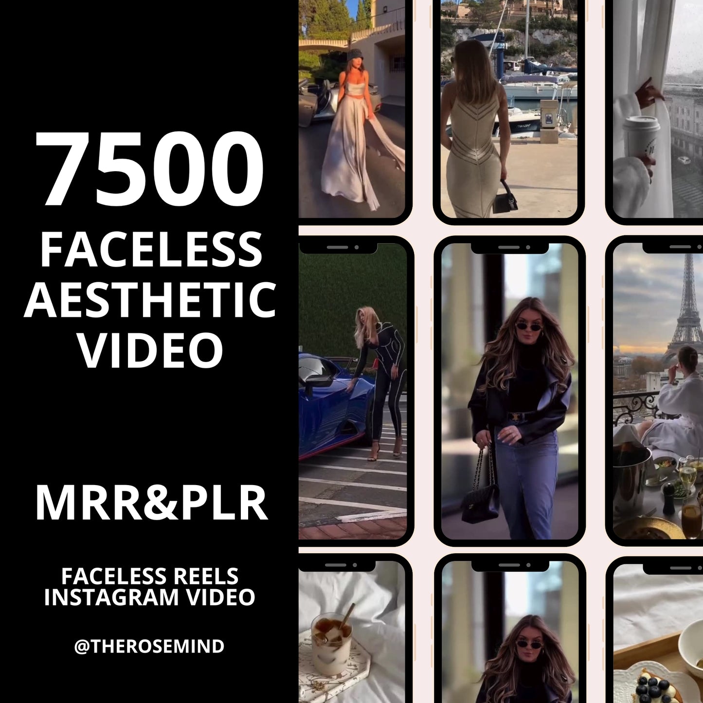 7500 Aesthetic Faceless Video Reels, Story MRR & PLR resell, dfy digital products, Email, Social Media, DFY, Instagram.