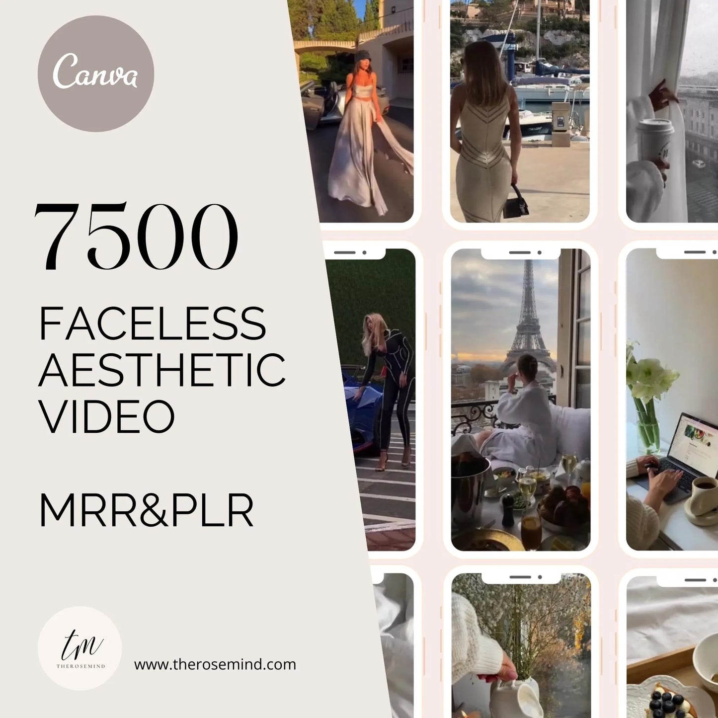 7500 Aesthetic Faceless Video Reels, Story MRR & PLR resell, dfy digital products, Email, Social Media, DFY, Instagram.