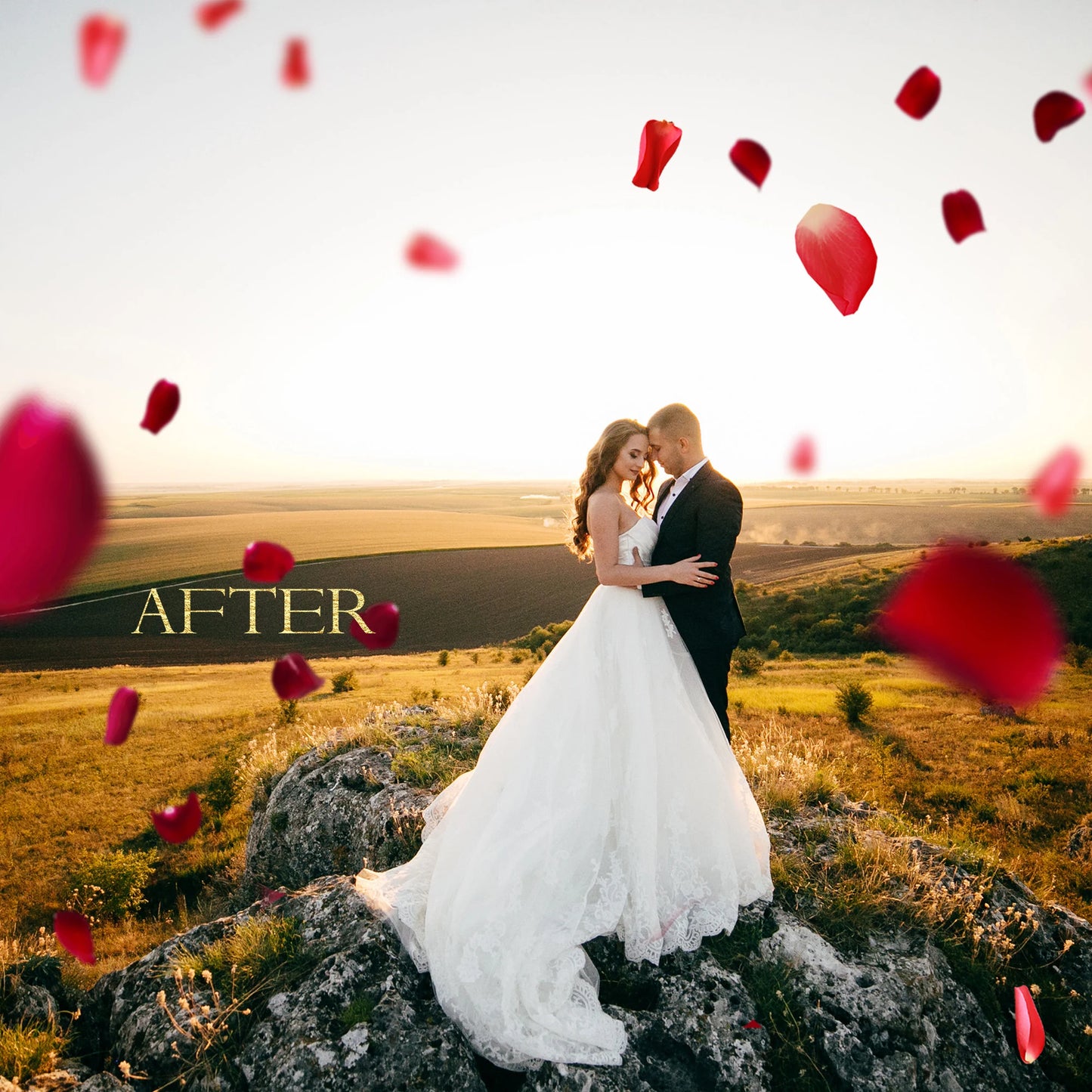 Overlays Petals red rose