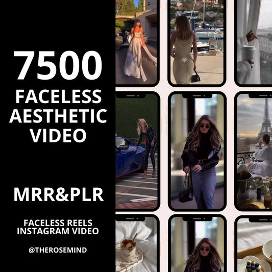 7500 Aesthetic Faceless Video Reels, Story MRR & PLR resell, dfy digital products, Email, Social Media, DFY, Instagram.