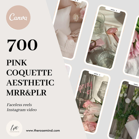 Aesthetics Pink Faceless Reels, High quality video reels, Posts, Stories, Faceless Digital marketing, With resale rights PLR-MRR, Canva